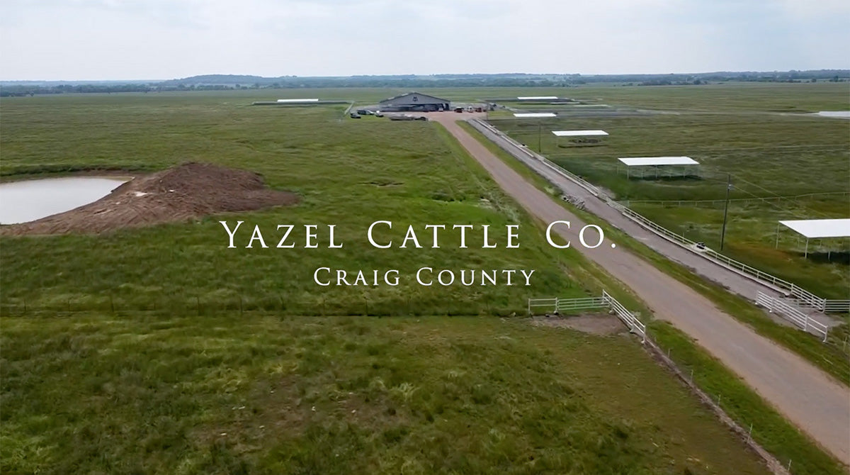 Yazel Cattle Company donates 1/2 beef to Friends of South Grand Lake Regional Airport